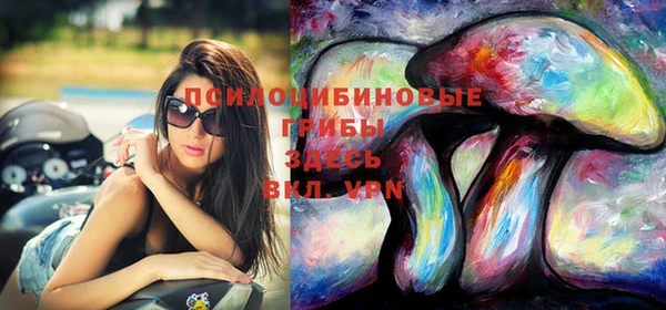 винт Вяземский