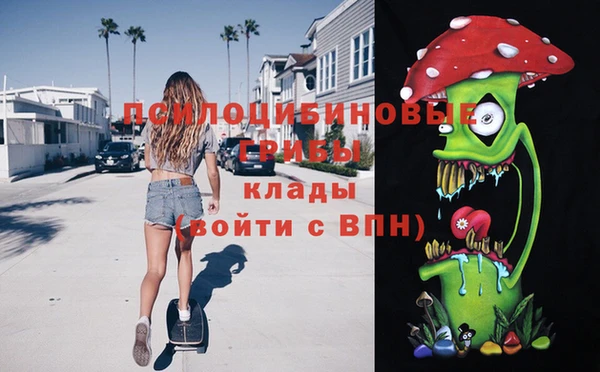 винт Вяземский