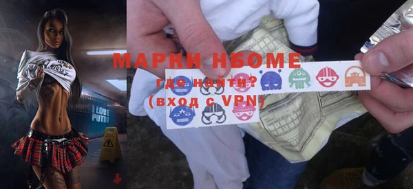 индика Чегем